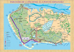 Rando La Palmyre 2015